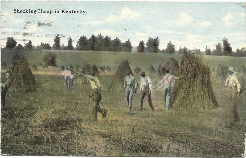 Hemp Cultivation/Preparation Around the World (Postcards)