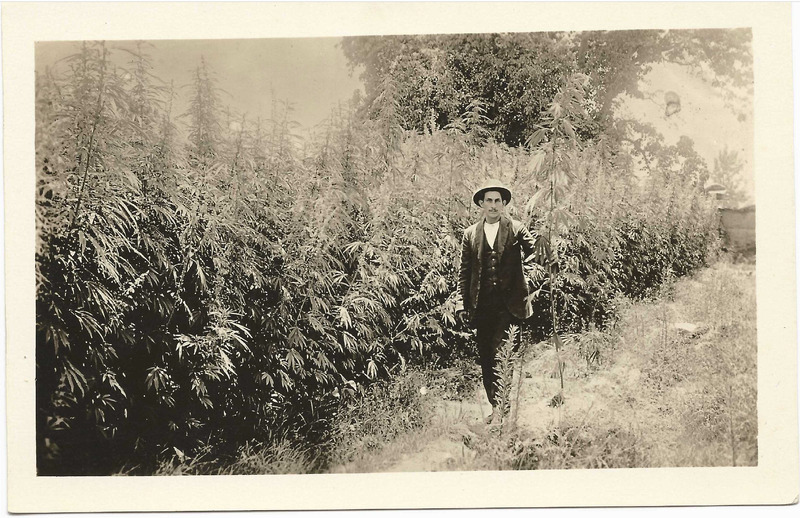 Hemp Exhibit